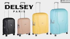 Desley-Travel-Luggage-Brands